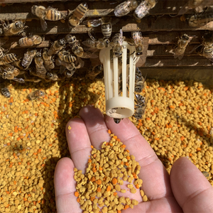 Poudre de <span class=keywords><strong>pollen</strong></span> <span class=keywords><strong>d</strong></span>'<span class=keywords><strong>abeille</strong></span> 100% pure de haute qualité, naturelle, en vrac, 20 kg/carton, durée de conservation de 2 ans - Product Image 5