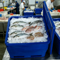 Boîte à poisson isotherme en plastique SCC grande capacité 1000L OEM&ODM, glacière à glace sèche pour la chaîne du froid et la transformation des fruits de mer