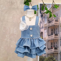 Jupe salopette classique en denim mélangé coton style Hong Kong pour chien, automne et hiver, pour Teddy Bichon, Guangdong PET-DMGD282B, vêtements pour animaux de compagnie