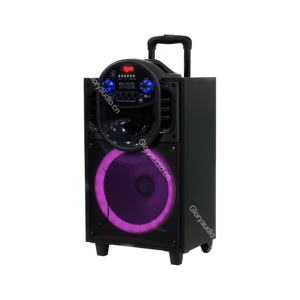 וופר תיאטרון ביתי נייד 12 אינץ 'עם סוללה מופעלים חומר עץ לשימוש בגלי קרקריוקי - Product Image 3