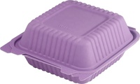 Econewleaf Composteerbaar Wegwerp Bento Box Biologisch Afbreekbaar Maïszetmeel Pla Lunchcontainer Clamshell Ontwerp Voor Voedselverpakkingen