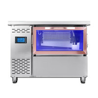Machine à glace automatique, avec comptoir de 100KG/24H