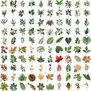 Nhãn dán lá tươi trong suốt Trang trí lá xanh thẩm mỹ Máy tính xách tay, nhãn dán lá chống nước cho trẻ em Quà tặng tiệc tùng - Product Image 6