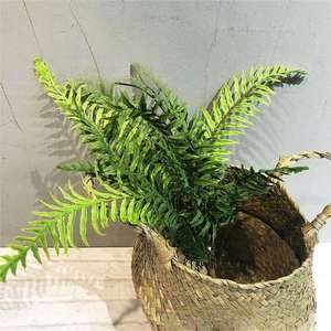 En çok satan yüksek kalite farsça yaprak ev ve düğün dekor yapay plastik yapraklar buket Fern bırakır - Product Image 5