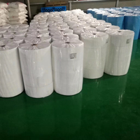 Tissu non tissé en polypropylène écologique imperméable 80g, largeur 160CM, 200M/ROULEAU, blanc