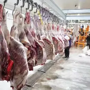 Công suất nhỏ lạc đà gia súc slaughterhouse bò giết mổ máy cho giết mổ thiết bị