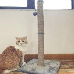 Nhà cây nhỏ cho mèo với trụ sisal và đồ chơi cho mèo, làm bằng gỗ và lông thú, đồ dùng cho thú cưng để chơi và nghỉ ngơi cho mèo nhỏ - Product Image 6