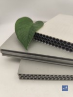 Coffrage modulaire en dalle de plastique PP intégré pour la construction préfabriquée
