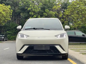 Gran Oferta: Coche Eléctrico BYD Seagull Usado Barato, Mini EV Urbano de Segunda Mano de Bajo Costo, Exportación de Coches Chinos Usados - Product Image 1