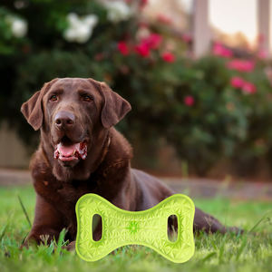 Juguete Masticable Clásico y Duradero para Perros, de TPR, en Bolsa - Product Image 1