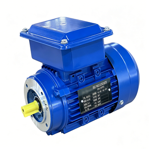 Moteur asynchrone monophasé à démarrage par condensateur à économie d'énergie 0,18 kW 0,25 kW 0,37 kW 0,55 kW 0,75 kW pour usage industriel - Product Image 1