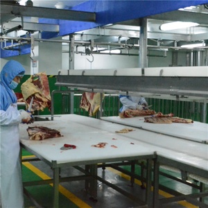 Línea de Sacrificio de Ganado Personalizable para Mataderos Modernos y Plantas de Procesamiento de Carne - Product Image 6