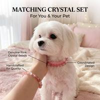 Collier pour animaux de compagnie luxueux en perles de cristal avec bracelet assorti pour le propriétaire, collier pour chien et chat en pierre naturelle, bijoux faits à la main pour animaux de compagnie