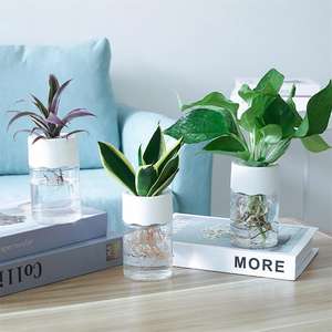 Mini Macetas Hidropónicas Transparentes, Macetas de Malla para <span class=keywords><strong>Plantas</strong></span> sin Tierra, Macetas Hidropónicas para Decoración del Hogar - Product Image 6
