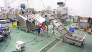 Machine à couper les carottes, <span class=keywords><strong>prix</strong></span> direct usine, 9600 pièces/heure - Product Image 3