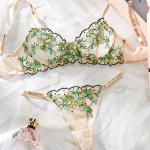 2024 Лидер продаж, сексуальное нижнее белье с сетчатой вышивкой и искушением, комплект из 2 предметов для женщин - Product Image 1