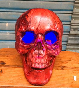 Vari stili <span class=keywords><strong>di</strong></span> Halloween testa <span class=keywords><strong>di</strong></span> teschio <span class=keywords><strong>di</strong></span> <span class=keywords><strong>sangue</strong></span> rosso e layout <span class=keywords><strong>di</strong></span> scena <span class=keywords><strong>di</strong></span> scheletro <span class=keywords><strong>di</strong></span> cadavere secco - Product Image 1