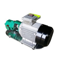 Vente directe d'usine, petite pompe à double engrenage WCB, pompe à huile portable, pompe de transfert de diesel électrique