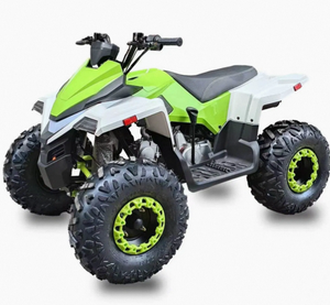 รถเอทีวีควอดไบค์แบบอัตโนมัติ รุ่นใหม่ 300 ซีซี 4 จังหวะ DIY OEM/ODM พร้อมแฮนด์พลาสติก ความเร็วสูงสุด 60 กม./ชม. สำหรับขับขี่ออฟโรดและการผจญภัย - Product Image 1