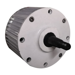 Generador de imanes de imán permanente de 800W y 500 RPM RX-800PH a precio competitivo - Product Image 3