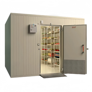 Cámara Frigorífica para Alimentos Congelados a Precio de Fábrica, Lista para Enviar, con Equipamiento de Refrigeración - Product Image 3