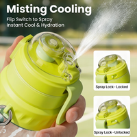 Bouteille d'eau pulvérisatrice de 750 ml avec paille, anti-fuite, pour le sport, la gym, la course, la randonnée, et shaker de fitness