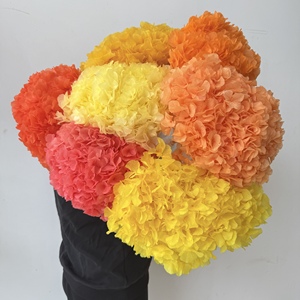 Bất Tự Nhiên 25-30Cm Bảo Quản Lớn Lá Tú Cầu Chi Nhánh Vĩnh Cửu Hydrangeas Cho Đám Cưới Valentine Của Ngày Tốt Nghiệp Giáng Sinh - Product Image 5