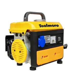 Hochwertiger 220v 650w Einzylinder-2-Takt-Mini-Benzingenerator tragbarer Handkurbel-Stromerzeuger für den Heimgebrauch