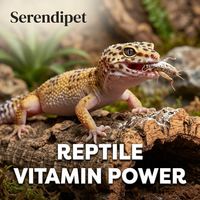 Reptielen Vitamine Supplement Multivitamine & Mineralen Poeder Met/zonder Vitamine D3 voor alle Reptielen, Hagedissen, Gekko's & Schildpadden