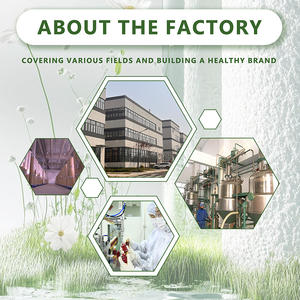 Poudre de probiotiques <span class=keywords><strong>Lactobacillus</strong></span> Rhamnosus de qualité alimentaire 10 milliards 100 milliards de probiotiques lyophilisés <span class=keywords><strong>Lactobacillus</strong></span> Rhamnosus <span class=keywords><strong>gg</strong></span> - Product Image 4