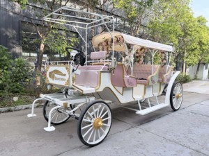 Carroza de Cenicienta Personalizada con Diseño Floral, Vehículo Eléctrico de Lujo de Cuatro Ruedas para Turismo, Fabricante de Transporte Especializado - Product Image 4