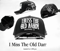 Casquettes de baseball brodées Rich Forever en suède à 5 panneaux avec visière incurvée, style vintage, originales, vente en gros