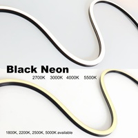 Bande LED flexible en silicone noir IP67 résistante à la pluie Ra95 CE BIS 15*15mm, lumière LED personnalisée, bande LED noire 24V Neon Flex