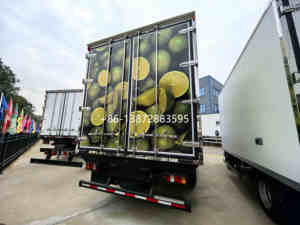 2025 haute qualité HOWO personnalisable 4x2 Diesel congélateur réfrigéré boîte camions 12.7M3 réfrigéré boîte camions à vendre - Product Image 3