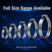 15.8mm Wide 0.7mm Thick 304 Stainless Steel American Type Hose Clamp for High Pressure Pipe Fixing Heavy Duty Fastener