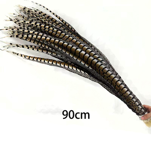 Vente en gros Reeves Big Pheasant Feathers Long Ringneck Pheasant Tail Teint pour Carnaval <span class=keywords><strong>Samba</strong></span> Performance Dress Ramadan Graduation - Product Image 5