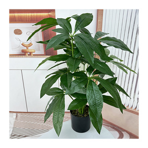 QYYM-265 trong nhà/ngoài trời PVC dính cây xanh dễ dàng kéo Fortune Tree lá nồi cho nhà máy nhân tạo trang trí nội thất tường đạo cụ cho - Product Image 1