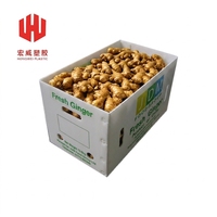 Caisse carrée pour fruits et légumes en polypropylène recyclable pour la logistique agricole et la chaîne du froid