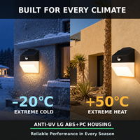 Vente en gros de lampes murales solaires 220lm pour tous les climats -20°C à +50°C résistantes au froid extrême et à la chaleur, ABS PC IP65 pour toutes les saisons