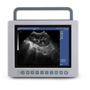 Meilleur prix Appareil de diagnostic à ultrasons couleur médicale Machine à ultrasons portable - Product Image 1