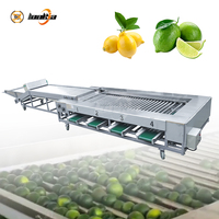 Professionele automatische sorteermachine voor citrussen (citroen, sinaasappel) met rolgrader voor industriële verwerking