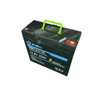 Batterie au lithium LiFePO4 rechargeable à décharge profonde 12,8 V 10 Ah 12 Ah 15 Ah 20 Ah, 4000 cycles, pour solaire, vidéosurveillance, IoT, agriculture