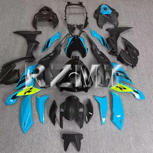Pour BMW S1000R 2021-2024 S1000 R 2023 2022 Kit de carénage de moto en ABS injecté, carénages personnalisés, coque BR21S-103a - Product Image 5