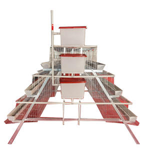 Gallinero Al Mejor Precio para <span class=keywords><strong>Pollitos</strong></span>, Pollos <span class=keywords><strong>de</strong></span> Engorde y Jaula para Gallinas Ponedoras en <span class=keywords><strong>Venta</strong></span> para Granja Avícola - Product Image 5