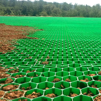 Pavé de gazon industriel durable pour les parkings et les allées, type grille de stabilisation du sol