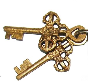 PARIJAT HANDICRAFT Stainless Steel & Brass Plated Waterproof Single Lever Locking Turtle Style Handmade Door <b>Padlock</b> Unique Keys - Product Image 3