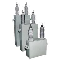 Condensador de Compensación de Potencia de Conexión Paralela HV de 10Kv 100Kvar de Fácil Instalación con Electrolito de Película de Polipropileno