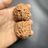 38mm Triangle naturel en noyer Wenwan blanc, motif tête de lion, non coupé, pour collection, cadeau, méditation et décoration intérieure