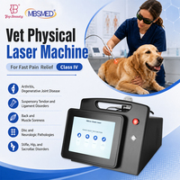 Appareil de thérapie laser vétérinaire professionnel 980 nm pour soulager la douleur, haute puissance, pour la réadaptation vétérinaire