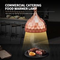 WINNERS Lampe chauffante décorative en or rose pour aliments, lampe chauffante à suspension élastique pour buffet, lumières chaudes pour station de buffet